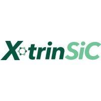 x-trinsic logo image