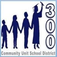 community unit school district 300