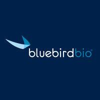 bluebird bio logo image