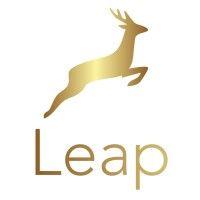 international leap network logo image