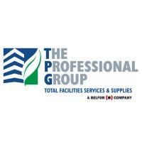 the professional group logo image