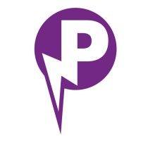 purple network logo image