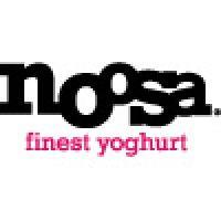 noosa yoghurt