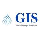 logo of Global Insight Services