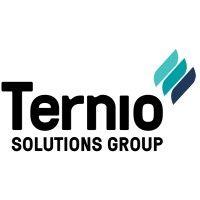 ternio solutions group logo image