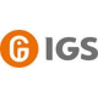 igs - internet game service logo image