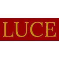 luce global enterprise logo image