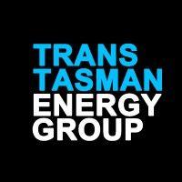 trans tasman energy group logo image