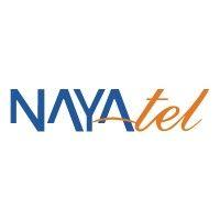 nayatel logo image