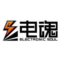 杭州电魂网络科技有限公司 electronic soul logo image