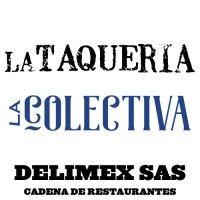 delimex sas logo image