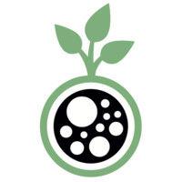 german biochar e.v. (fachverband pflanzenkohle e.v.) logo image