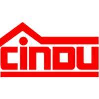 cindu andina logo image