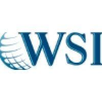 wsi- optimized web solutions logo image