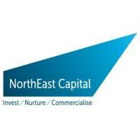 northeast capital llp logo image