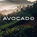 logo of Avocado Green Brands