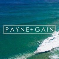 payne+gain logo image