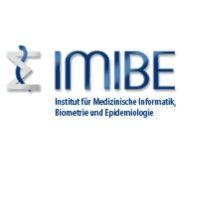 imibe institut für medizinische informatik, biometrie und epidemiologie logo image