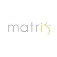 matris™ by synergyne art analytics inc. logo image