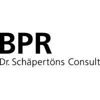 bpr dr. schäpertöns consult gmbh & co. kg logo image