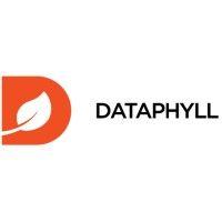 dataphyll limited logo image