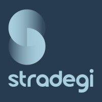 stradegi solutions logo image