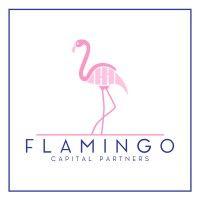 flamingo capital partners logo image