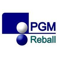 pgm reball ltd logo image