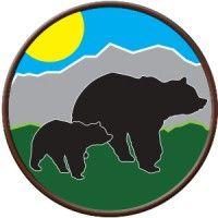 bear mountain custom painting logo image