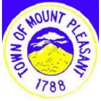 mount pleasant town pool logo image