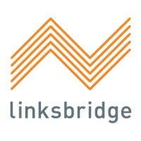 linksbridge logo image