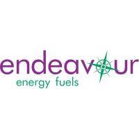 endeavour energy fuel logo image