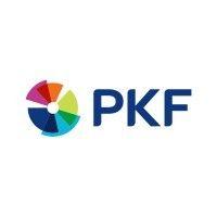 pkf revisjon as