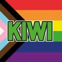 kiwi minipris logo image