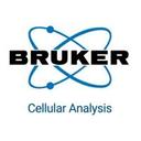 logo of Bruker Cellular Analysis