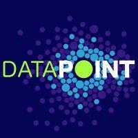 data point ltd logo image