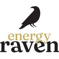 energy raven logo image