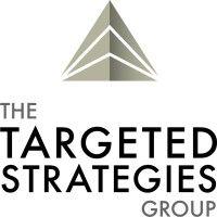 the targeted strategies group logo image