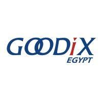 goodix egypt