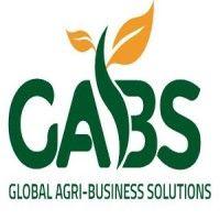 global agri-business solutions inc logo image