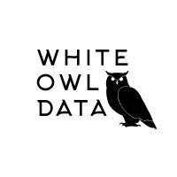 white owl data, llc logo image