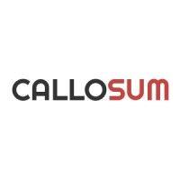 callosum partners logo image