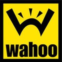 wahoo studios logo image