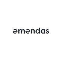 emendas: organisational engineering logo image