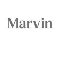 marvin logo image