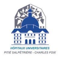 hôpitaux universitaires pitié salpêtrière - charles foix (aphp) logo image