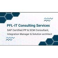 pfl-it consulting services logo image