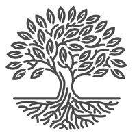 silver tree wealth management ltd logo image