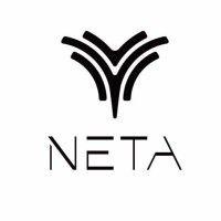 neta auto brasil logo image