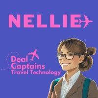 hey nellie logo image